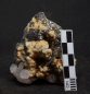 Preview: Sphalerit, Arsenopyrit, Pyrit, Calcit, Dolomit - Cavnic, Rumänien