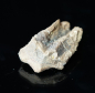Preview: Triceratops horridus | Lance Formation | Wyoming