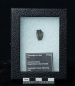 Preview: Triceratops horridus | Lance Formation | Wyoming