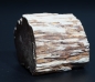 Preview: Fossiles Holz | Oberkreide | Kelmis