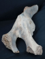 Preview: Mammuthus primigenius | Pleistozän | Oberrhein