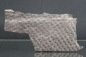 Preview: Lepidodendron sp. | Oberkarbon | Dortmund
