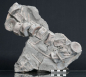 Preview: Stenopterygius sp. | Toarcium | Holzmaden