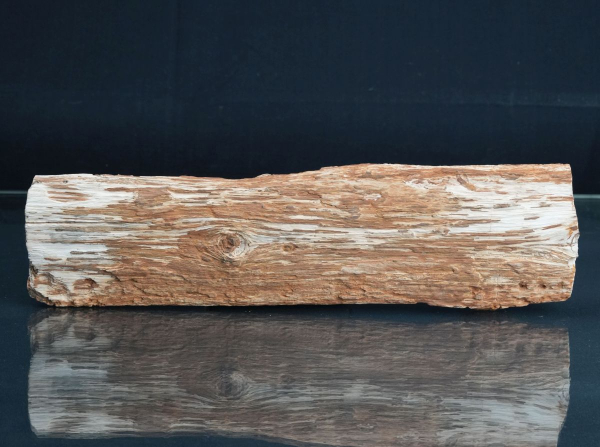 Holz | Santonium | Kelmis, Belgien
