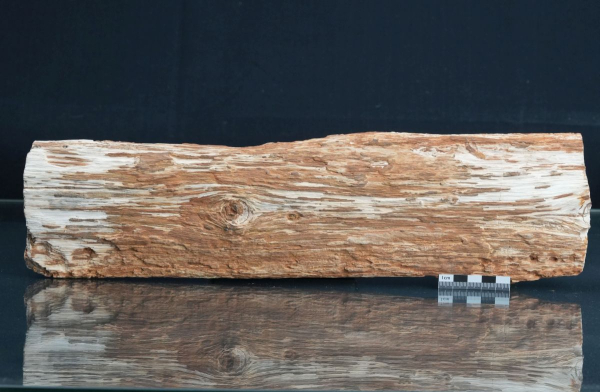 Preview: Holz | Santonium | Kelmis, Belgien