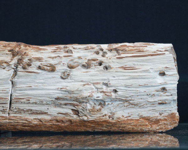 Preview: Holz | Santonium | Kelmis, Belgien