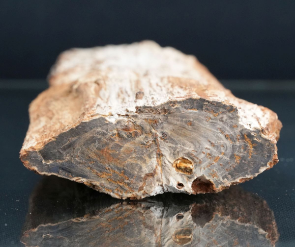 Holz | Santonium | Kelmis, Belgien