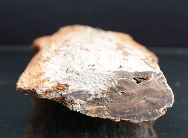 Holz | Santonium | Kelmis, Belgien