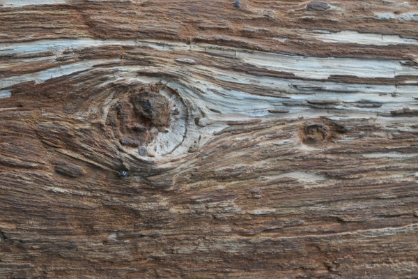 Holz | Santonium | Kelmis, Belgien