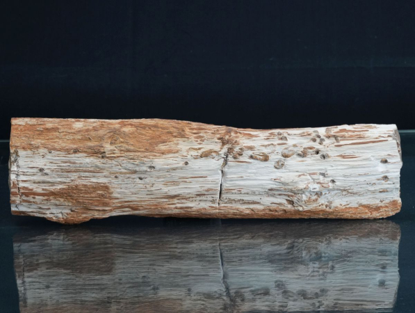 Holz | Santonium | Kelmis, Belgien