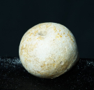 Ursus spelaeus | Pleistozän | Zoolithenhöhle